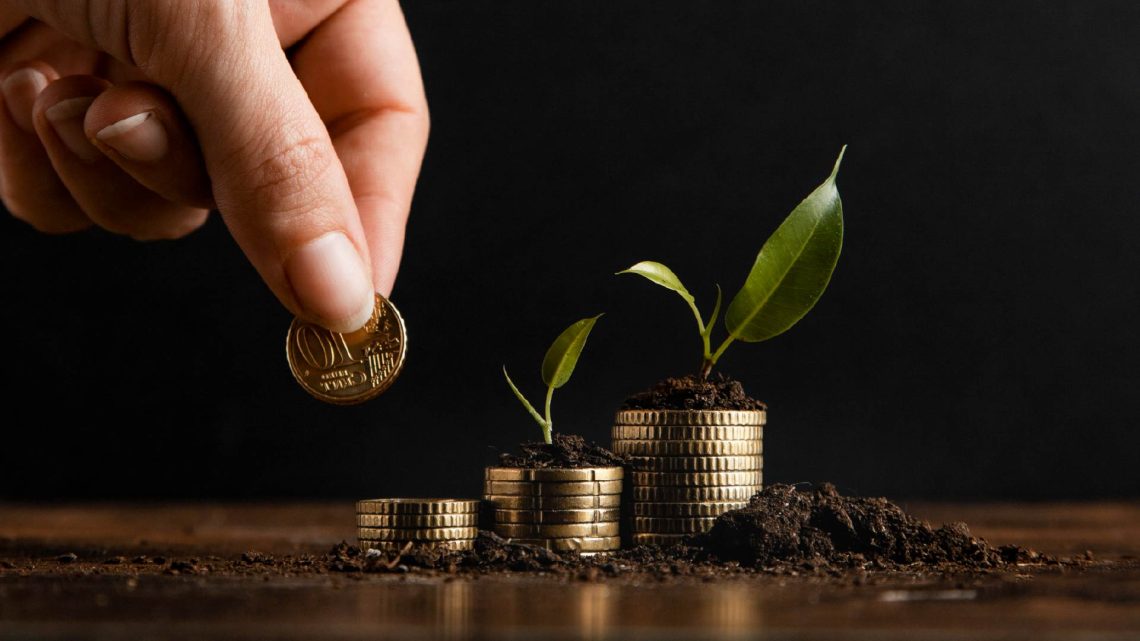 Panduan Investasi untuk Pemula: Mulai dari Mana? - Bank Lescadana