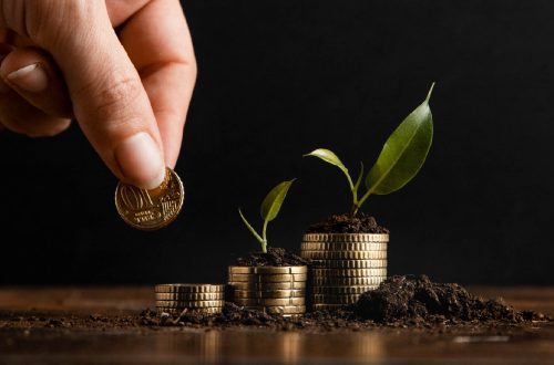 Panduan Investasi untuk Pemula: Mulai dari Mana? - Bank Lescadana