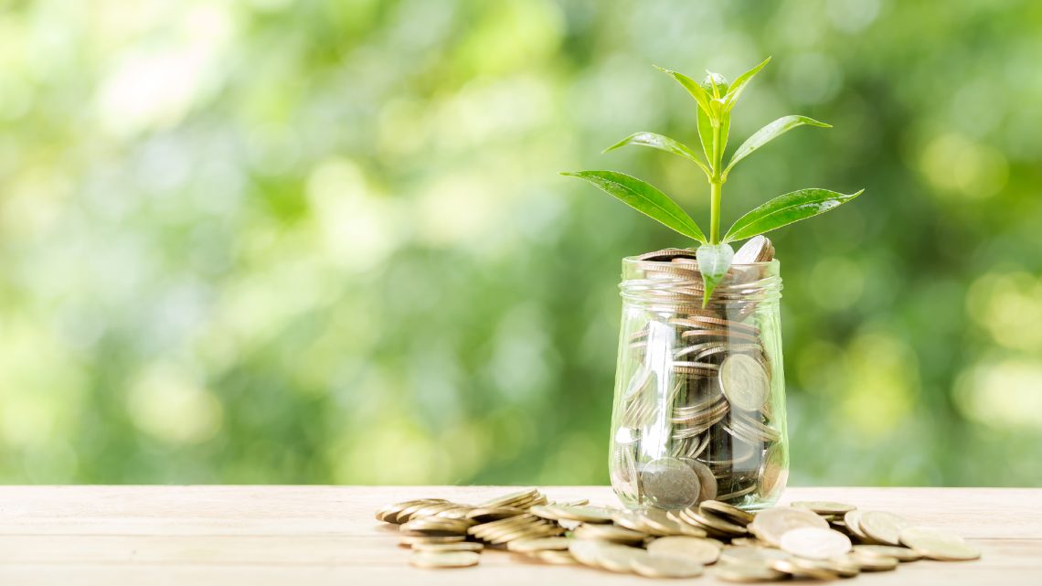 Mengenal Reksadana: Pilihan Investasi Aman dan Menguntungkan - Bank Lescadana